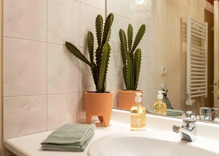 Le Terracotta - Parking - Place Du Capitole *