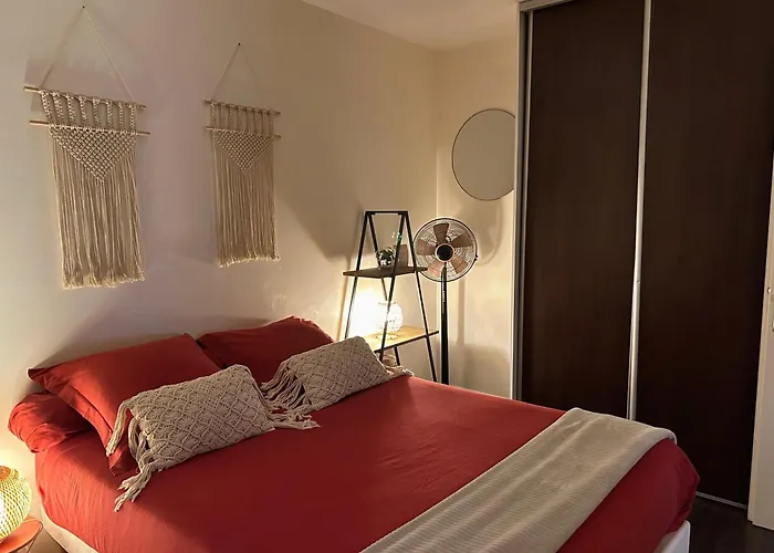 Apartment Le Terracotta - Parking - Place Du Capitole Toulouse